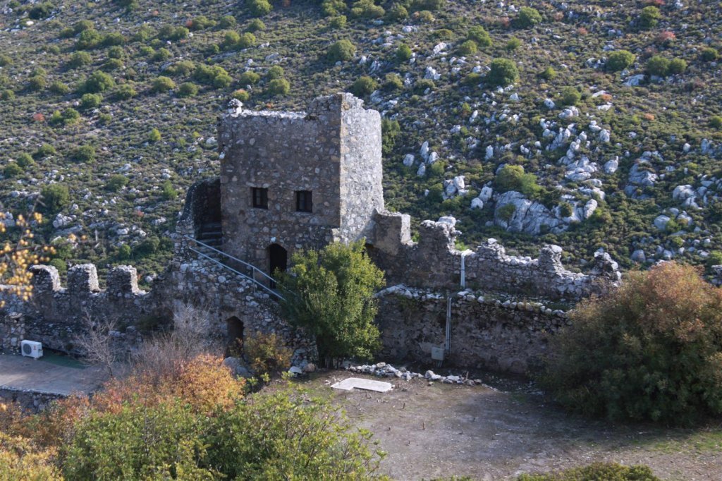 IMG_1418 (Large).jpg