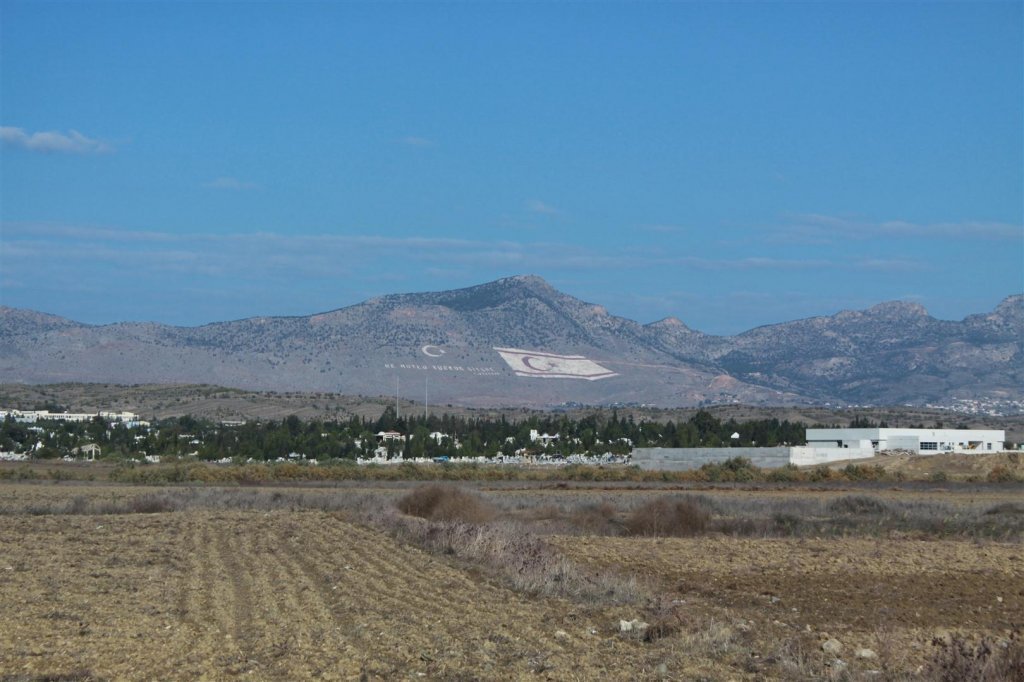 IMG_1420 (Large).jpg