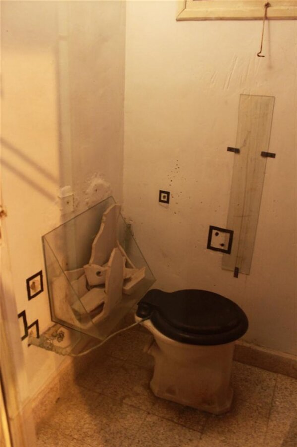 IMG_1423 (Large).JPG