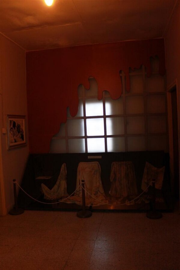 IMG_1430 (Large).JPG