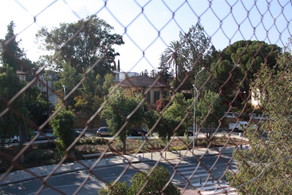 IMG_1432 (Large).JPG