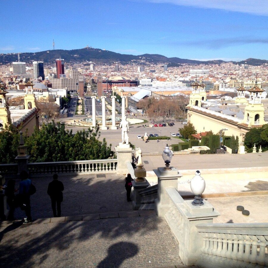 IMG_1432 (Large).JPG