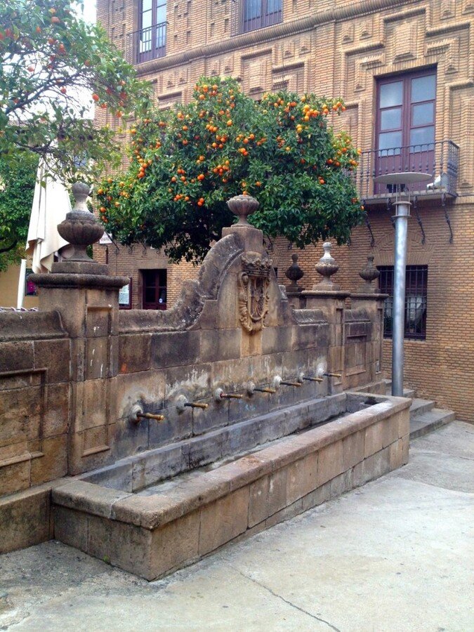 IMG_1454 (Large).jpg