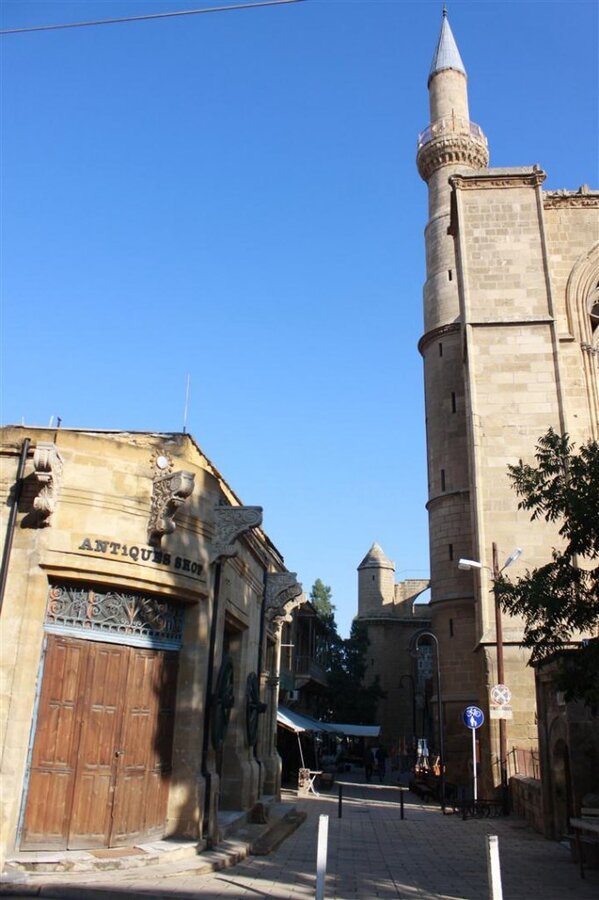 IMG_1460 (Large).JPG