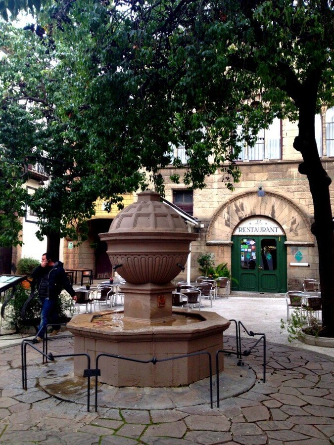 IMG_1462 (Large).JPG