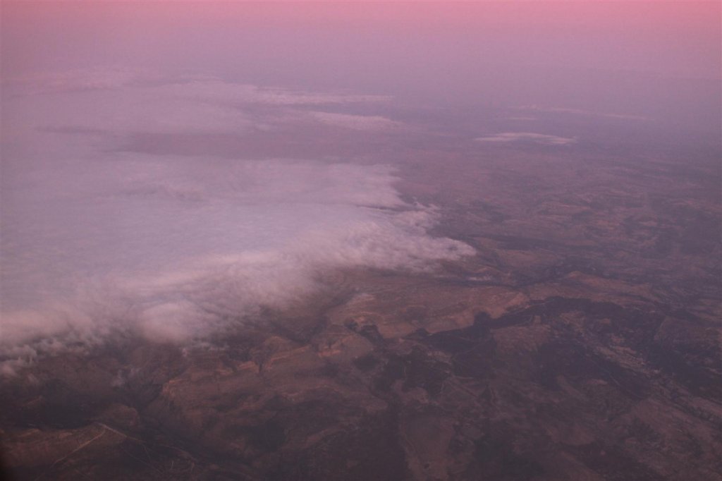 IMG_1468 (Large).JPG