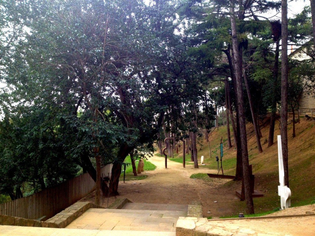 IMG_1476 (Large).JPG