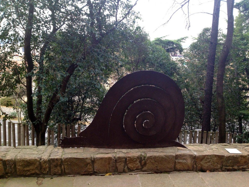 IMG_1477 (Large).JPG