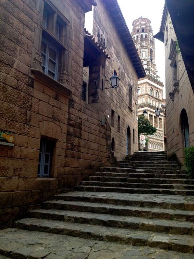 IMG_1479 (Large).JPG