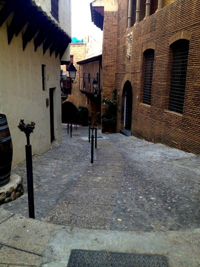 IMG_1491 (Large).JPG