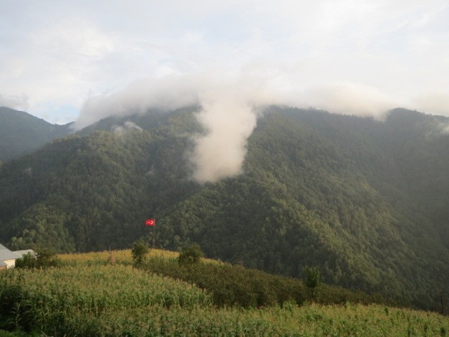IMG_1498.JPG