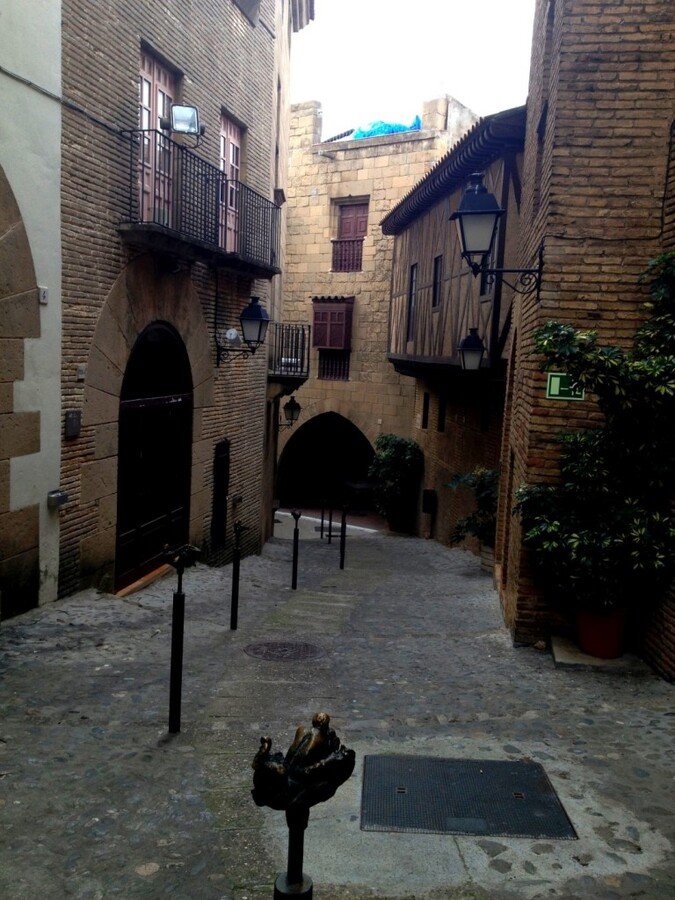 IMG_1498 (Large).JPG