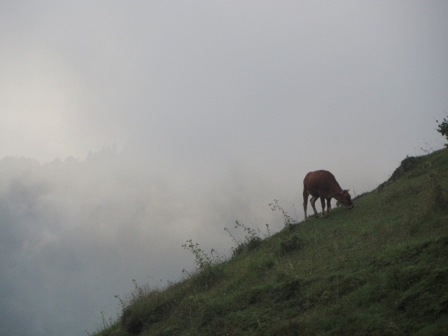 IMG_1502.JPG