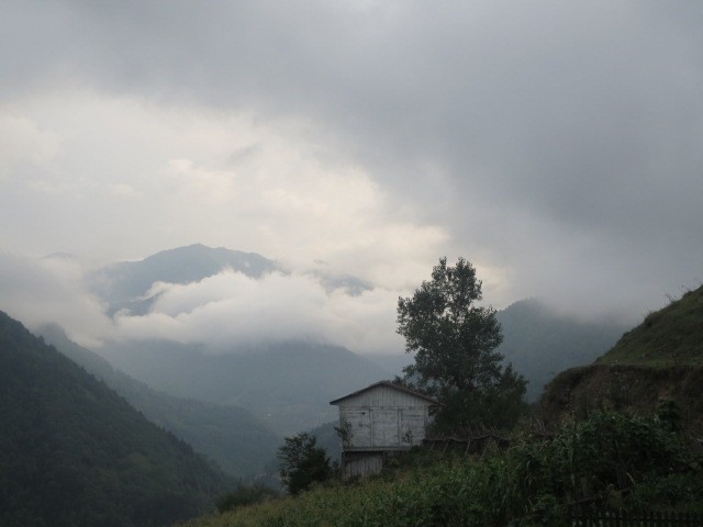 IMG_1506.JPG