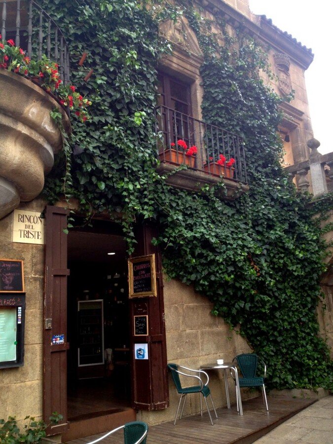 IMG_1513 (Large).JPG