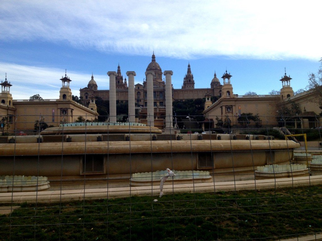 IMG_1528 (Large).JPG