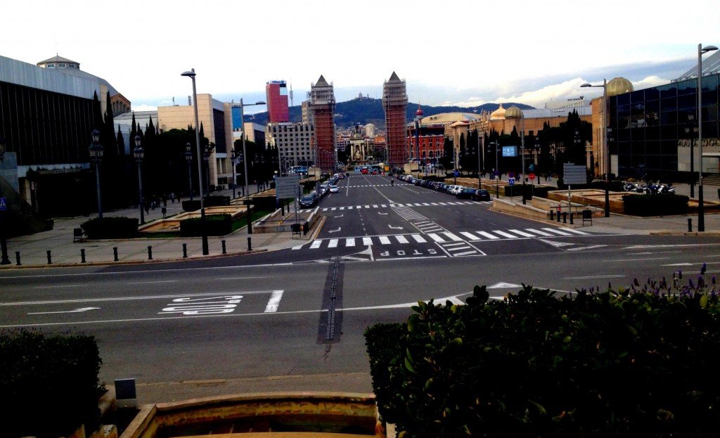 IMG_1532 (Large).JPG