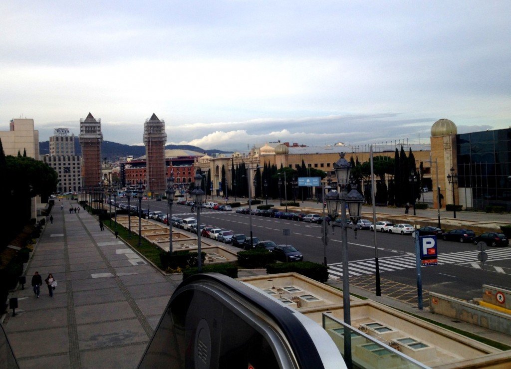 IMG_1534 (Large).JPG