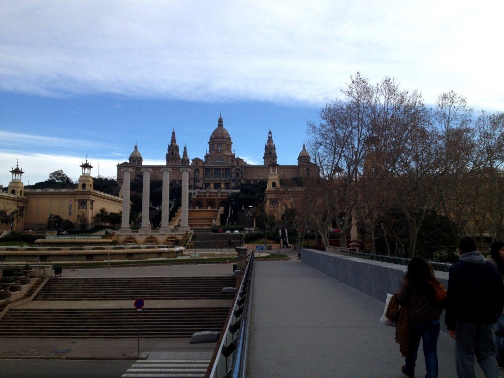 IMG_1536 (Large).JPG