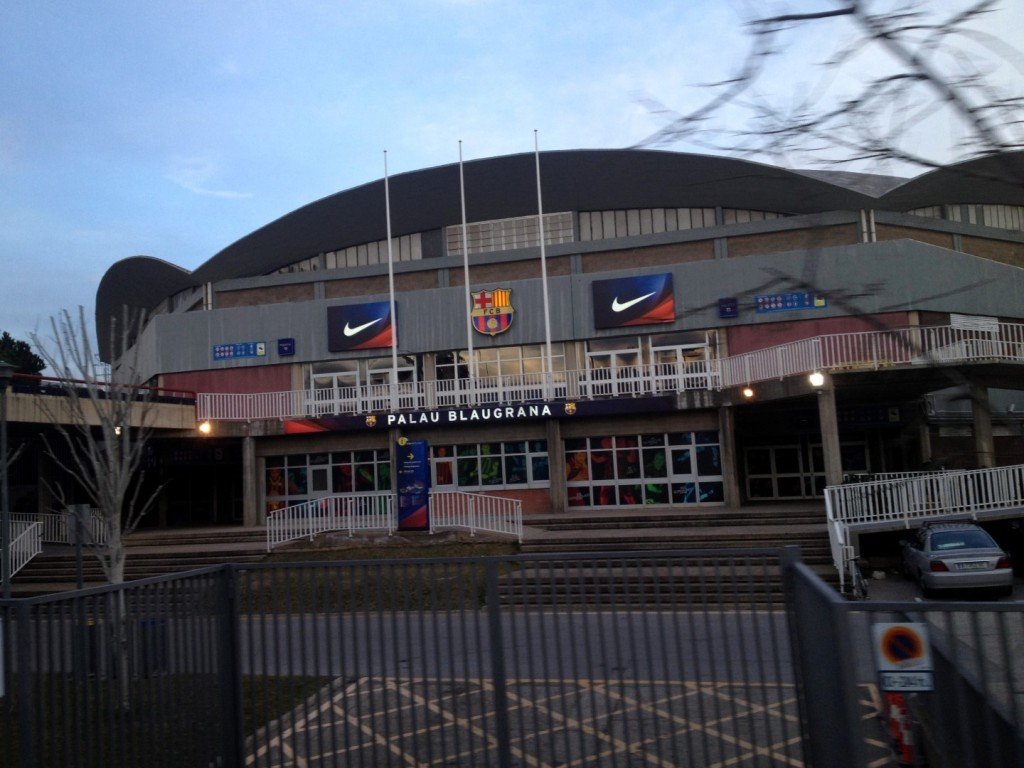 IMG_1570 (Large).JPG