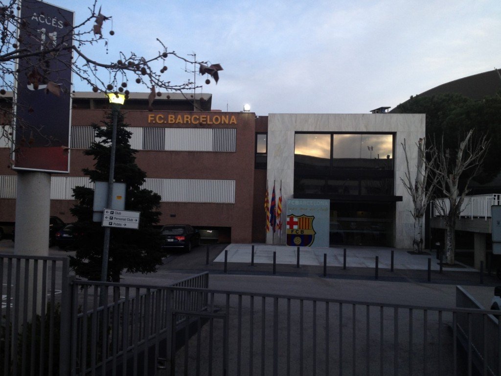 IMG_1571 (Large).JPG