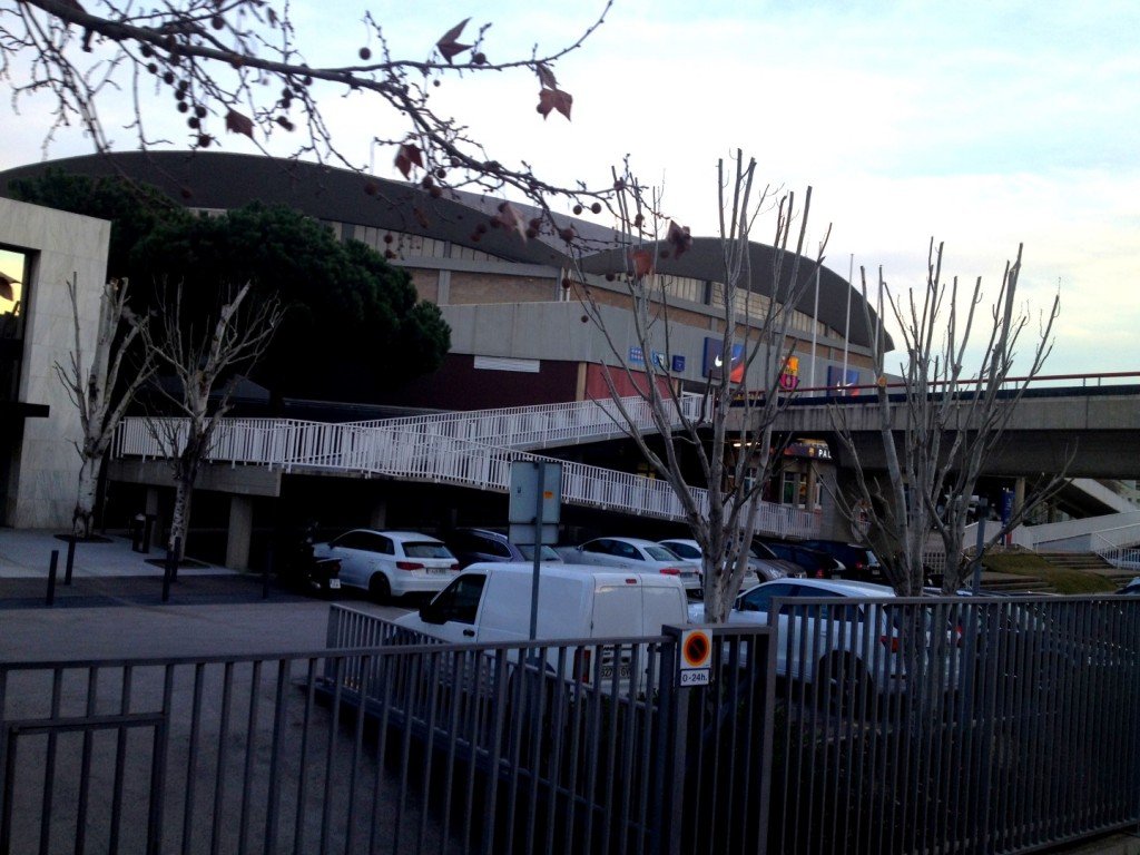 IMG_1572 (Large).JPG