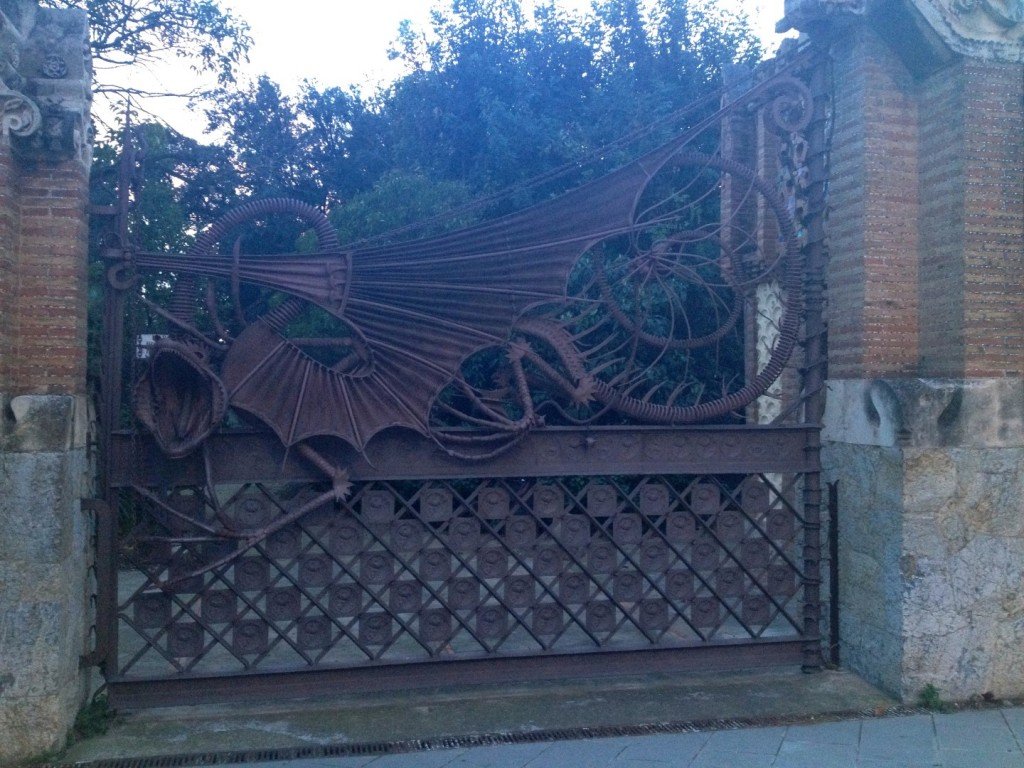 IMG_1588 (Large).JPG