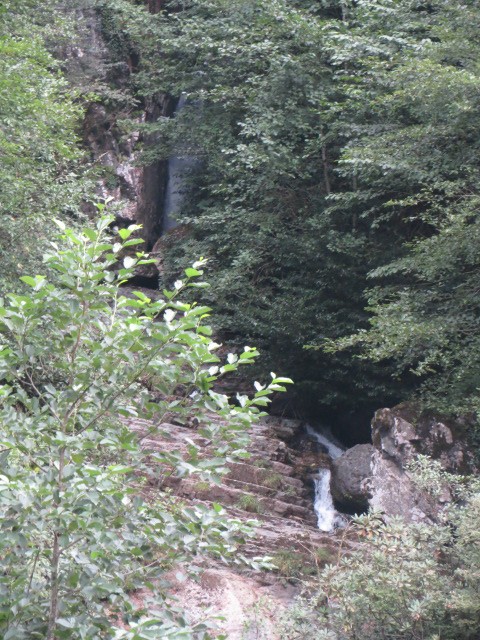 IMG_1589.JPG