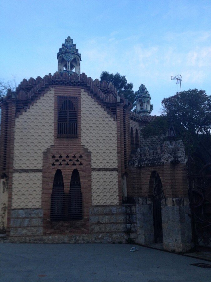 IMG_1589 (Large).JPG