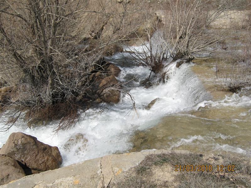 IMG_1668 (Medium).jpg