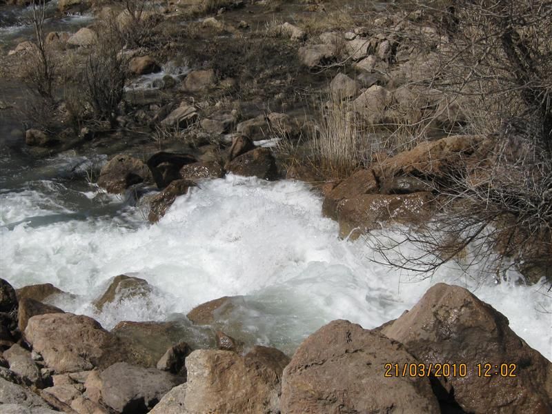 IMG_1669 (Medium).jpg