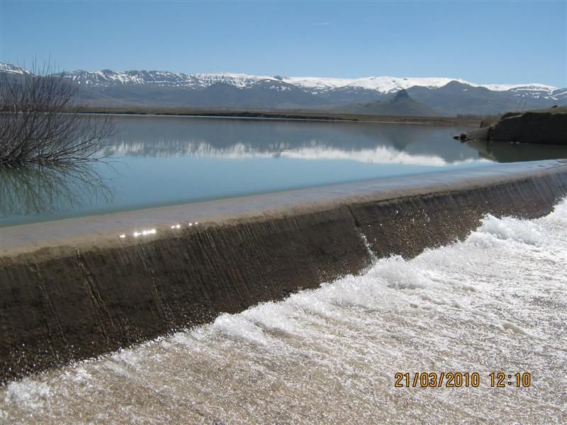 IMG_1686 (Medium).jpg