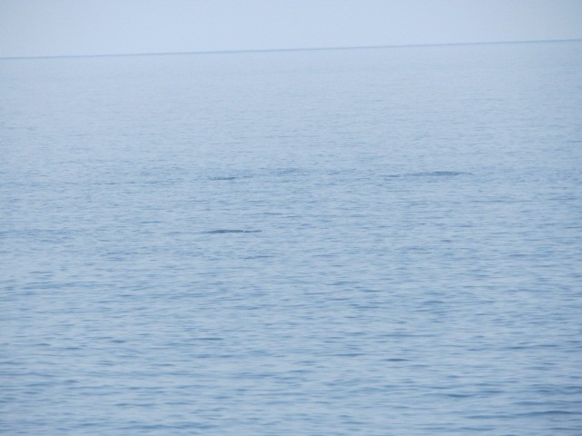 IMG_1687.JPG