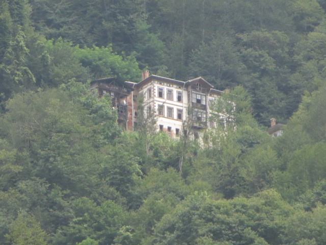 IMG_1695.JPG