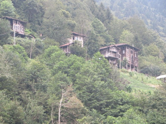 IMG_1700.JPG