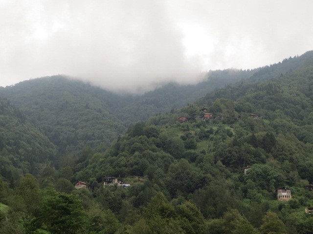IMG_1702.JPG