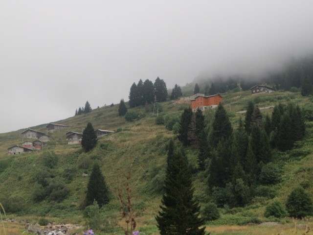 IMG_1719.JPG