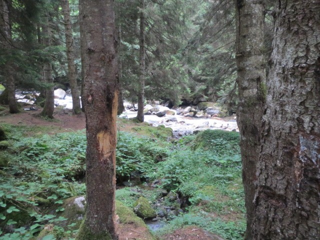 IMG_1744.JPG