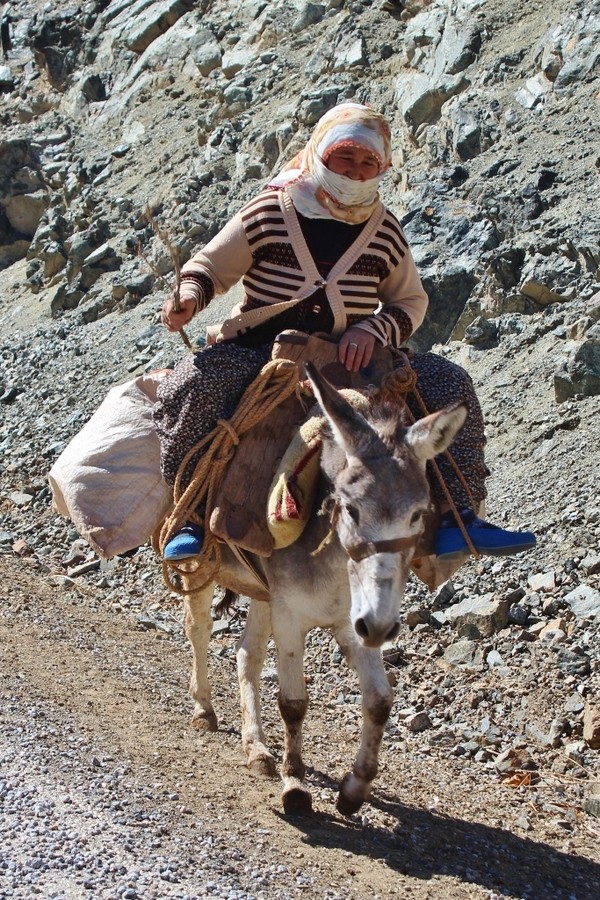 IMG_1773 (683x1024).jpg