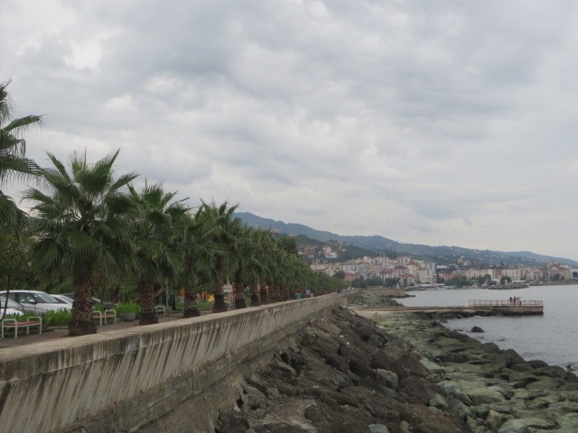 IMG_1786.JPG