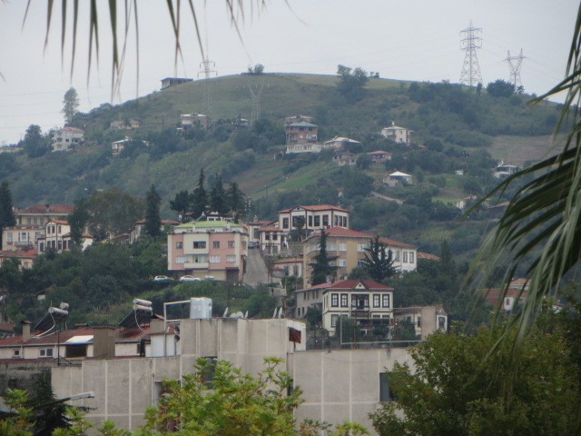 IMG_1787.JPG