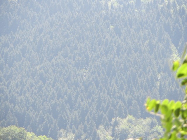IMG_1822.JPG