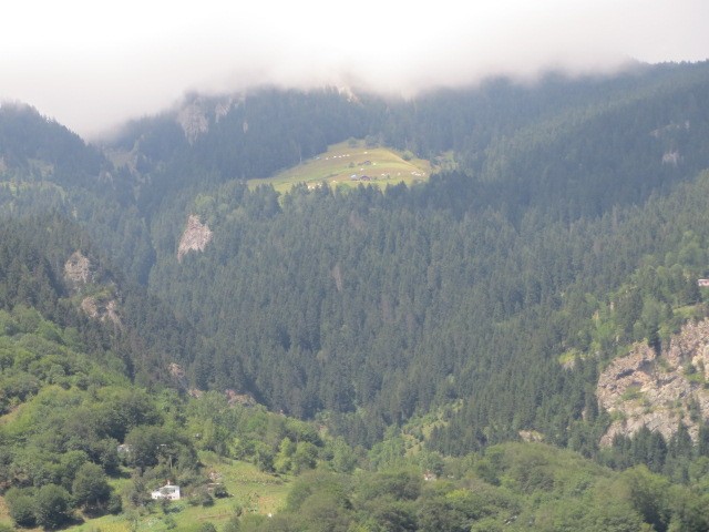 IMG_1828.JPG