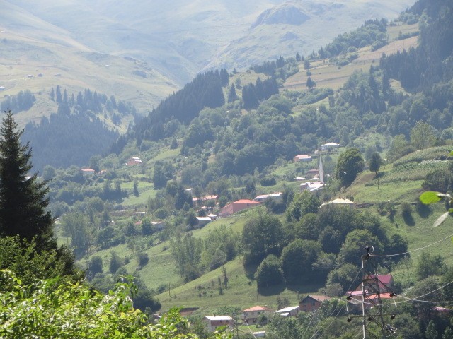 IMG_1829.JPG