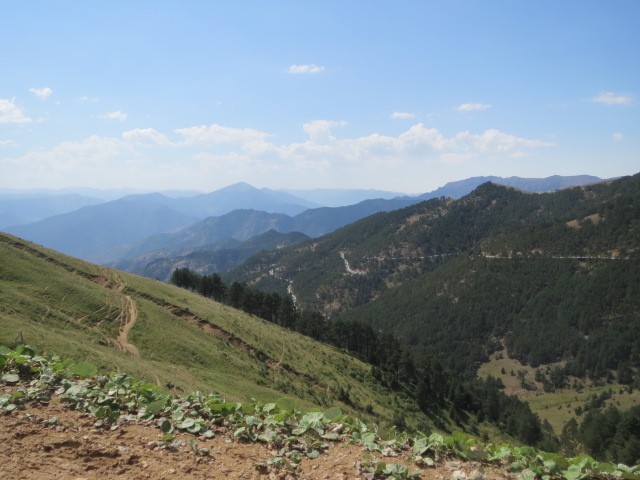 IMG_1835.JPG