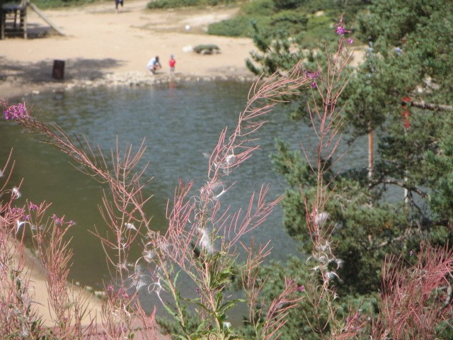 IMG_1840.JPG