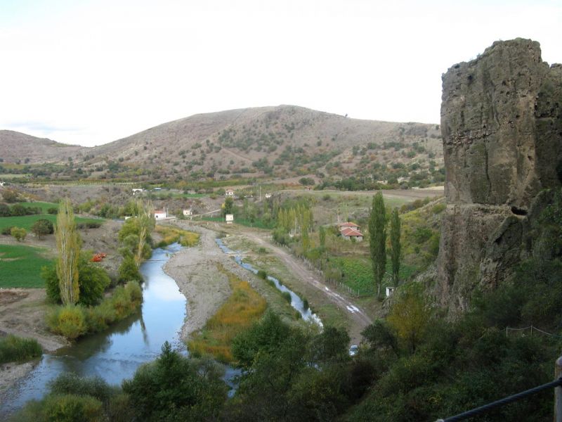 IMG_1847 (Large).jpg