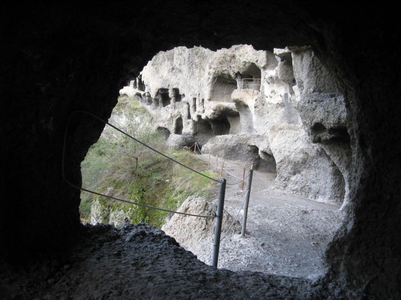 IMG_1852 (Large).jpg