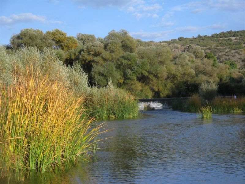 IMG_1875 (Large).jpg