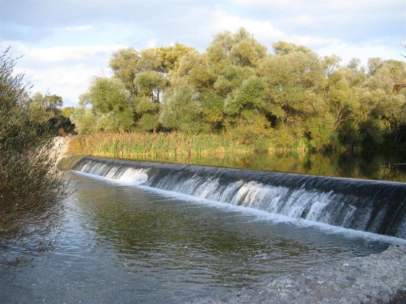 IMG_1887 (Large).jpg